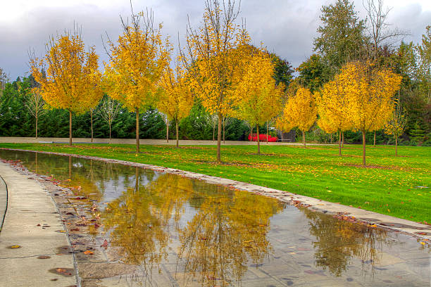 Reflection of Fall Season at the Park stock photo