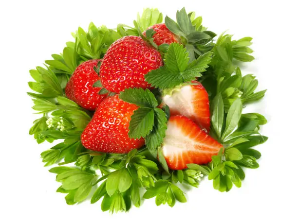 Strawberries on Woodruff on white Background