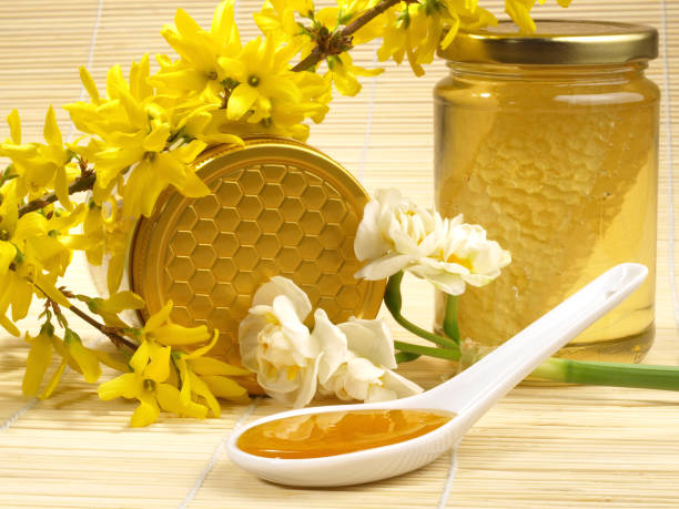 istock Honey in a Spoon - Blossom 1839477054