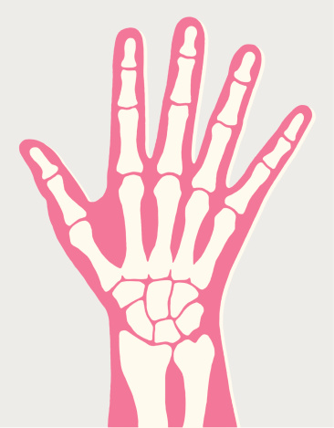 X-Ray Hand