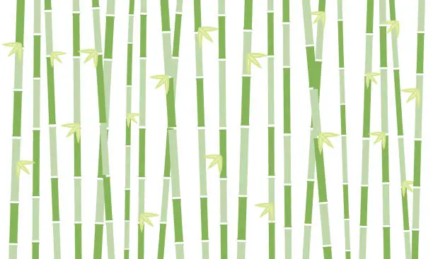 Vector illustration of Bamboo Forest Background