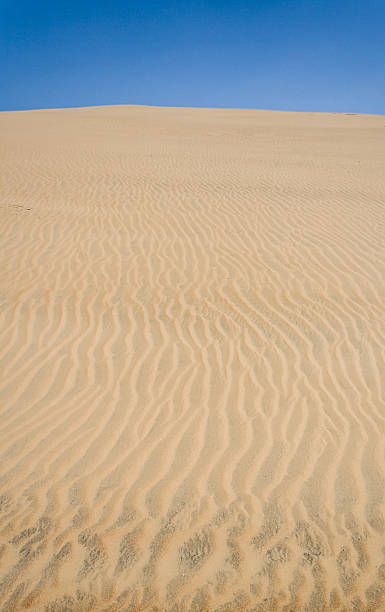 istock Sand dune of desert 183950619
