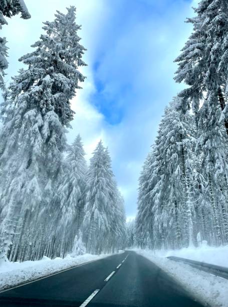 istock Road through the snowy forest. 1839508823