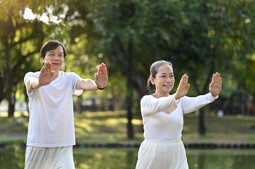 Happy senior couple practicing Tai Chi Chuan in the summer park. Senior health care and wellbeing concept