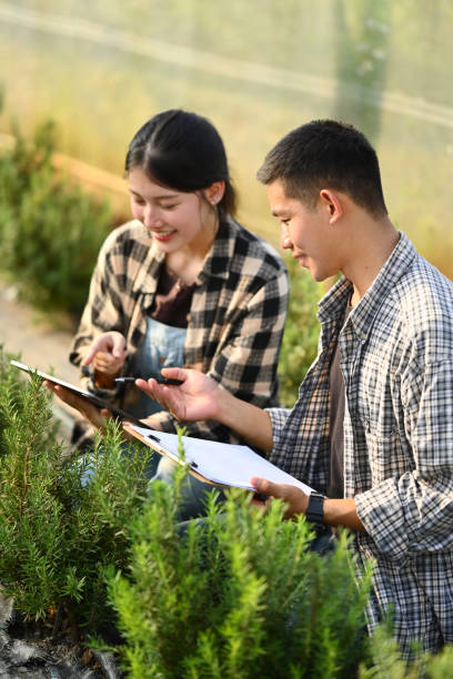 istock Two young farmers checking organic vegetable and recording farming data on digital tablet 1839521929