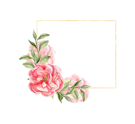 Pink peony hand drawn watercolor illustration. Square frame with floral elements of pale pink peony ,green leaves in square golden frame for invitation,card, wedding design, card template. Clip art
