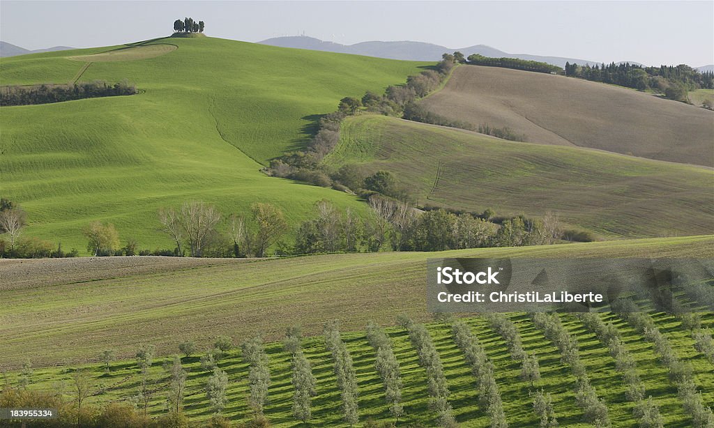 Tuscan Paisagem - Royalty-free Ajardinado Foto de stock