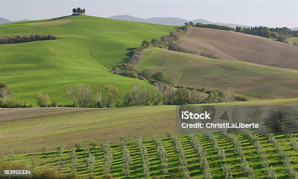 Tuscan Paisagem - Fotografias de stock e mais imagens de Ajardinado - Ajardinado, Ao Ar Livre, Campo agrícola