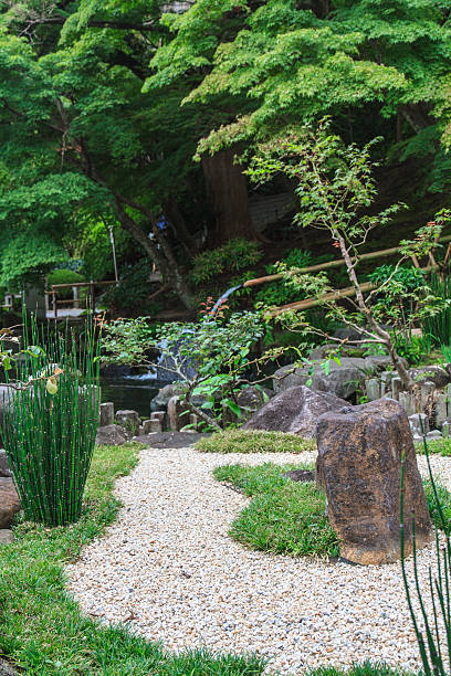 istock Japanese style garden 183957252
