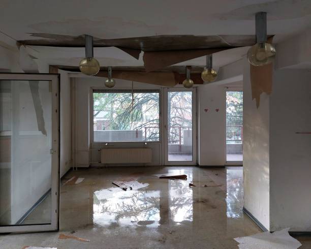 istock Water damage in interior room of abandoned building 1839574739