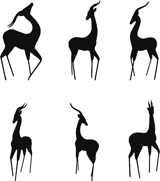 gazelle - thomsons gazelle stock illustrations