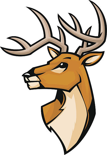 deer mascot mascot style deer logo animal sport stock illustrations