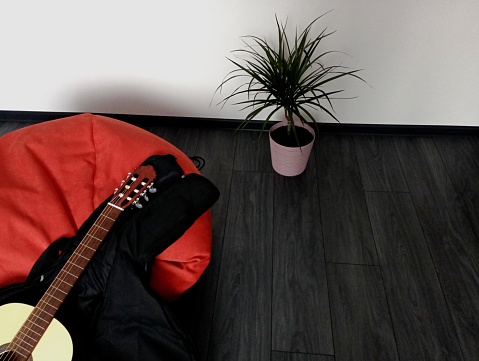 A guitar neck with stretched strings lies in a black split case on a red bean bag chair against a wall and floor on which a potted plant stands.