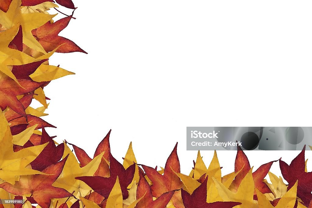 Autunno confine 1 - Foto stock royalty-free di Albero