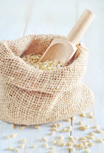 Photo of wheat
