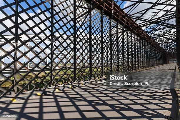 Histórico De Pontes Em Tczewpolónia - Fotografias de stock e mais imagens de Acima - Acima, Ajardinado, Antigo