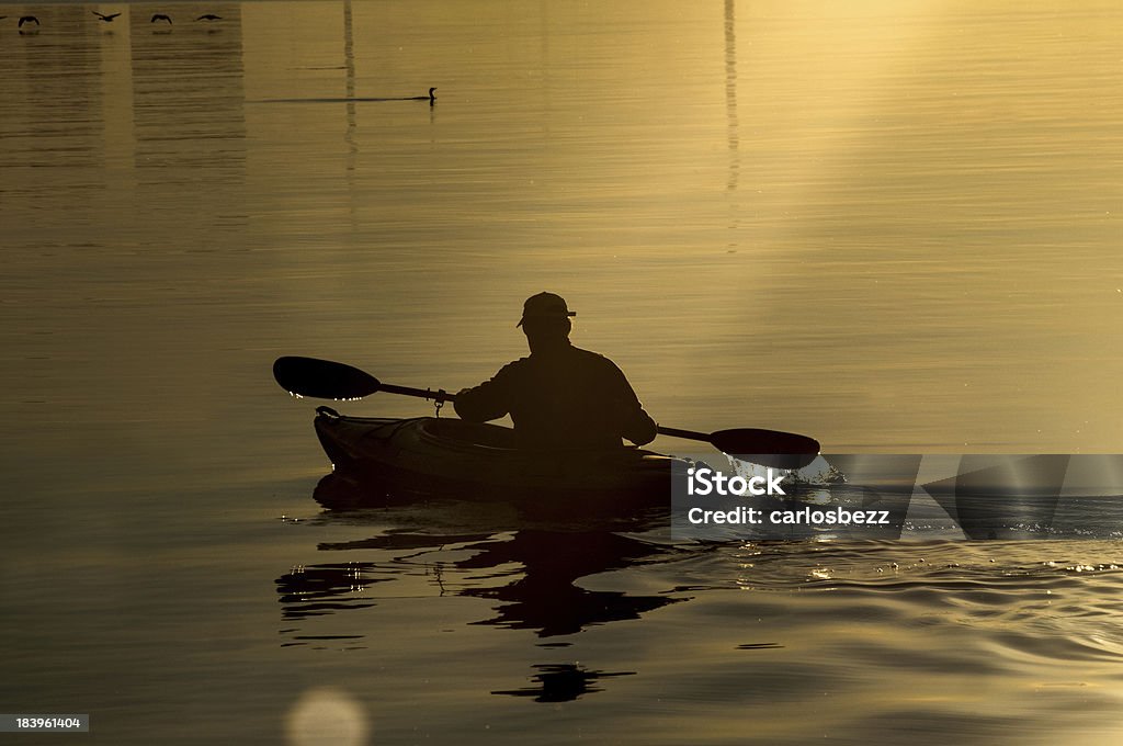 In kayak sul lago albero - Foto stock royalty-free di Ambientazione esterna