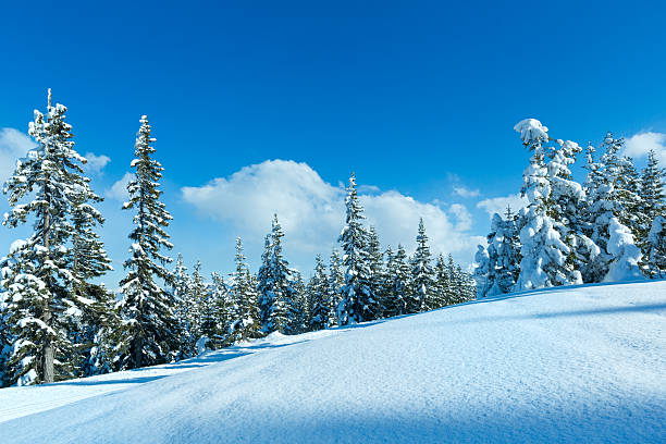 istock Winter mountain fir forest landscape 183961535