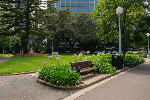 Wooden bench in a city park with plants and trees.
