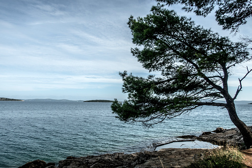 The Beautiful Nature of Dugi Otok Island, Dalmatia, Croatia