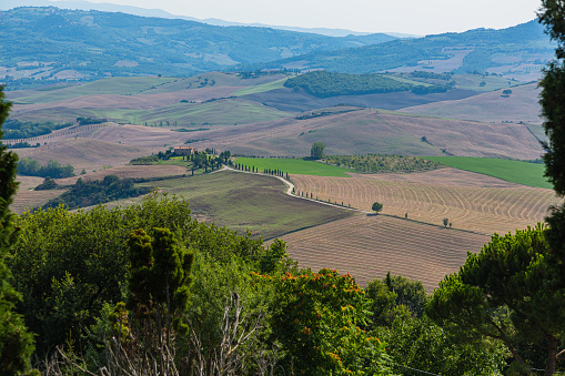 Pienza is a charming town in Tuscany, Italy, renowned for its well-preserved Renaissance architecture and urban planning. It's famous for being the birthplace of Pope Pius II and for its delicious pecorino cheese, making it a picturesque destination for history and food enthusiasts alike.