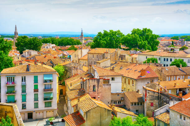 istock Aerial view of Avignon 1839743718