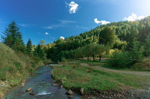 idyllic picturesque spring nature scenic landscape of highland green hills and rocky river stream in sun light and a lot of green foliage in contrast color
