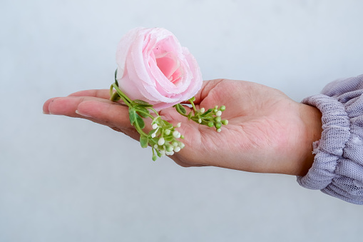 An asian woman showing a pink rose flower on her palm