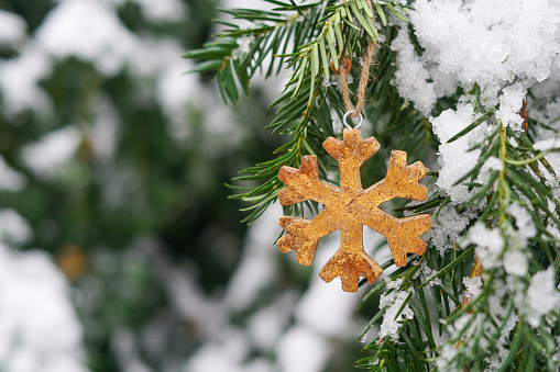 Branch with frost snow and Christmas golden wooden snowflake