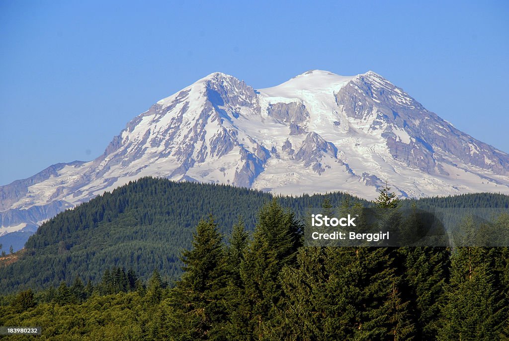 Mount Rainier beyond the trees The majestic Mount Rainier in Washington State on a sunny day in July. Blue Stock Photo