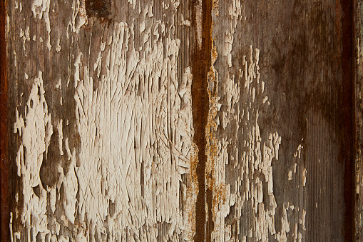 wooden background of decayed plank, Anobium punctatum or common furniture beetle attack