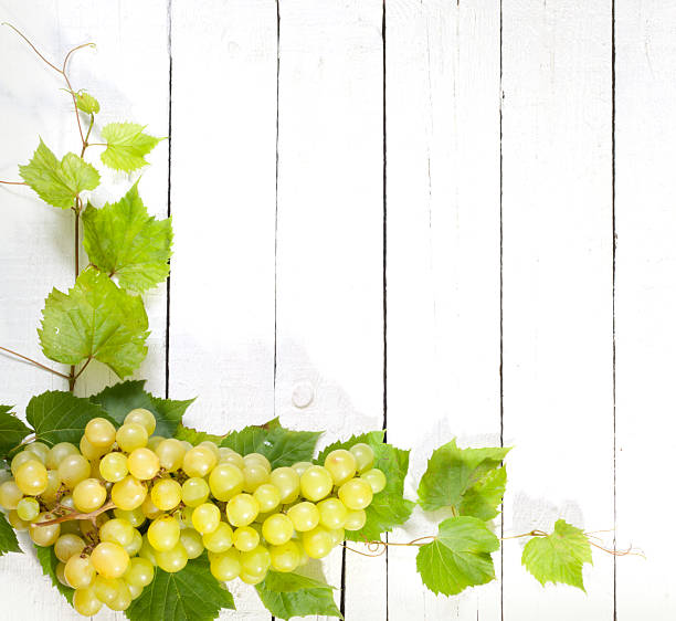 istock Grapes and leaves on vintage white planks background 183981291
