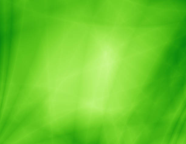istock Jungle green eco modern wallpaper design 183981751