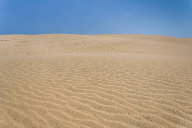 istock Sand dune of desert 183982052