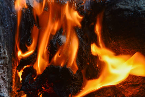 Photo of a fire that is burning orange