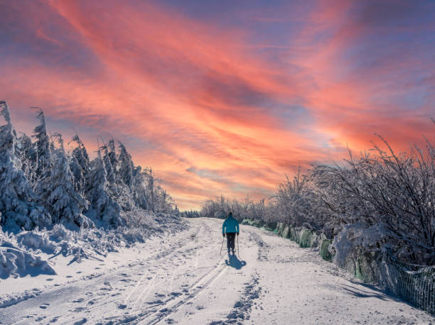 겨울 스포츠 지역의 크로스컨트리 스키 - cross country skiing black forest germany winter 뉴스 사진 이미지