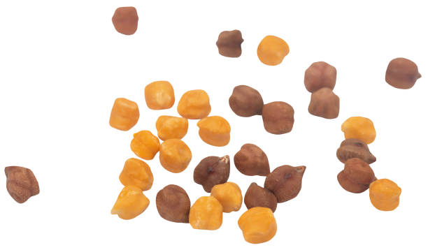 istock chickpeas fresh and organic 1839857147