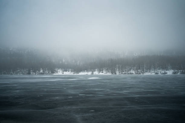 Dense fog drapes a frozen lake as a thick tree line fades into chilly mist. A quiet, wintry landscape that evokes calm, solitude, and natural atmosphere of German countryside.