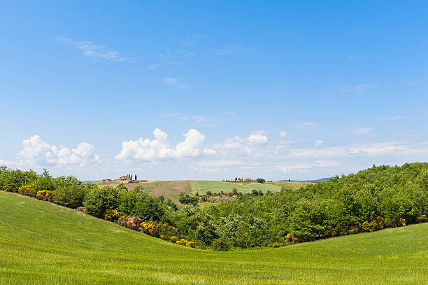 istock Rolling hills of Tuscany Italy 183992520