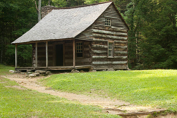 istock Log cabin in the wood 183992623