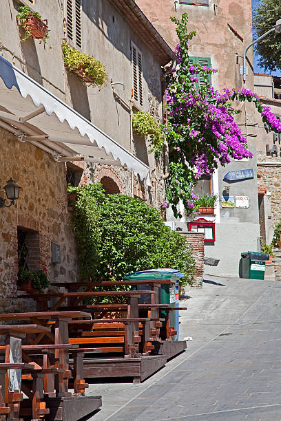 istock medieval alley in Tuscany 183995213