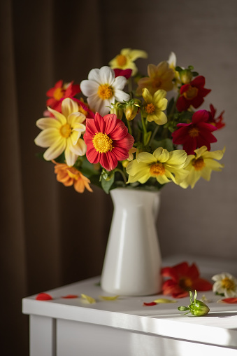 Still-life. Photo of a bouquet of bright dahlias on the table.