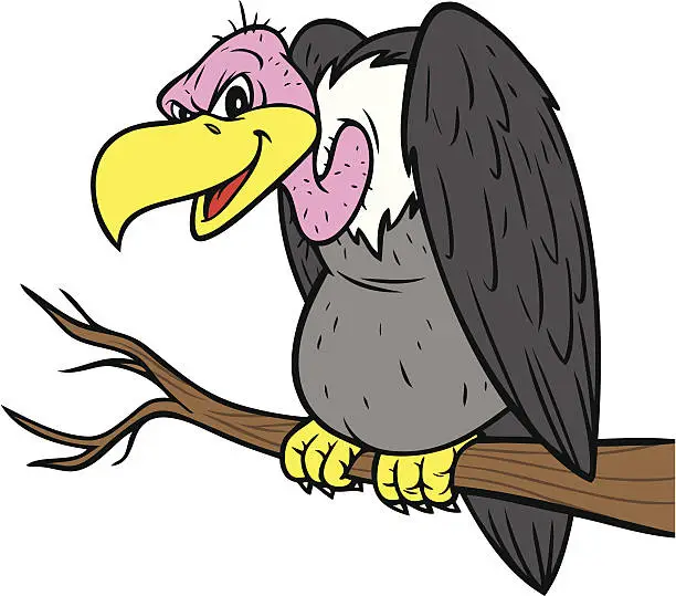 Vector illustration of Vulture