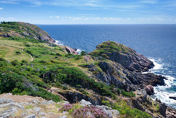 Specific sea coast lanscape in Western Sweden