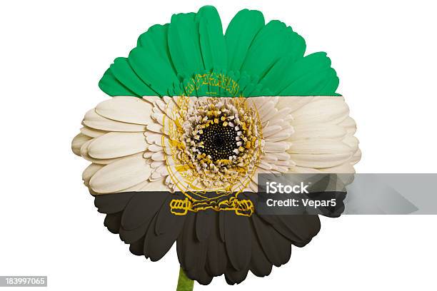 Gerbera Flower En Colores Bandera Nacional De Afganistán Foto de stock y  más banco de imágenes de Afganistán - iStock