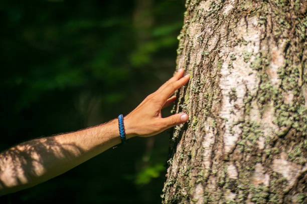 istock A man's hand touch the tree trunk close-up. Bark wood. Caring for the environment. The ecology concept of saving the world and love nature by human 1839973576