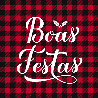 Boas Festas calligraphy hand lettering on red buffalo plaid background. Happy Holidays typography poster in Portuguese. Vector template for greeting card, banner, flyer, etc