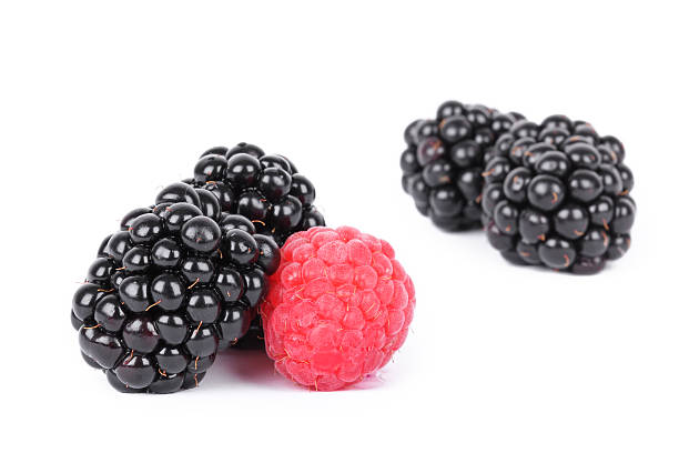 istock Blackberry and raspberries 183997711