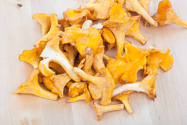 istock Chanterelles on wooden board 183997742
