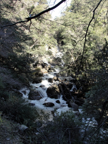 Little creek en Quila Quina photo